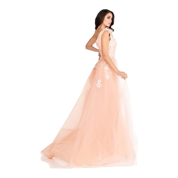 Abby Paris Longs by Lucci Lu Lace Gown with Tulle Overskirt in Blush NWT - Picture 7 of 12